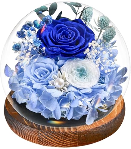 Elekin Eeuwige rozen, rode eternal roos met halsdoek, echte