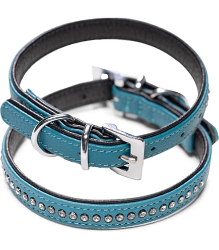 Karlie Vintage Halsband Für Hunde – Vierreihiger Strass, Grün, 40 Mm Breite, 60 Cm Länge