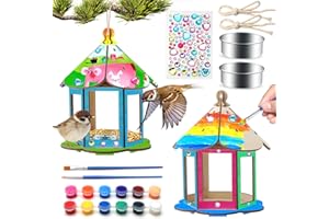 YOHOLD DIY Maison D'oiseau Bricolage Kit, Bird Feeders Kids Art Craft, Loisir Creatif Activité Manuelle Enfant Bricolage Construire en Bois Maison Peindre Jouet pour Garçons Filles 6 7 8 9 10 Ans-2 Set