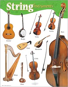 Music String Instruments Classroom Learning Poster : Amazon.co.uk ...