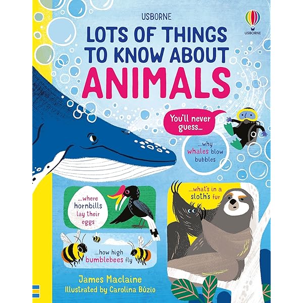 Lots of Things to Know About5冊 Lots of Things to Know About5冊 Lots of Things to Know About5冊