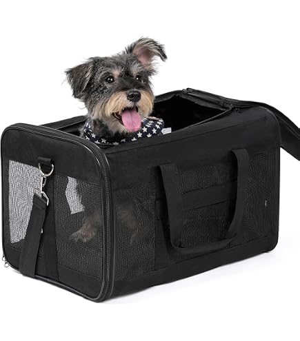 TRIXIE Transporttasche – 54×30×30 Cm, Aus Nylon, Blau, Für Haustiere