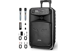 GEYGUY Sistema PA con 2 microfoni senza fili, Cassa karaoke portatile Bluetooth 12 pollici per adulti e bambini, ricaricabile Altoparlante supporto TWS/Echo/FM/AUX/USB in per riunioni, esterni, aula