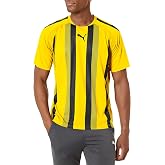 Puma Teamliga Jersey V2 Men's T-Shirt (Pack of 1)