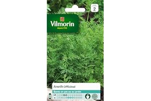 Vilmorin 5871046 Pack de Graines Aneth Officinal