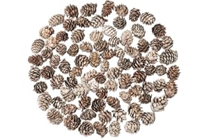 Songjum 100 Piezas Mini Piñas de Pino Secas Natural con Pintura Blanca Conos de Pino Navidad para Casa Fiesta Artesanía Regalo Boda Árbol de Navidad Decoración de Invierno