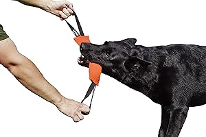 DINGO GEAR WWW.DINGOGEAR.COM 1977 Dingo Gear - Remolque de Nailon para Entrenamiento de Perros IGP IPO Schutzhund para búsqueda ciega de presas para Obtener recompensa, Hecho a Mano de Material francés