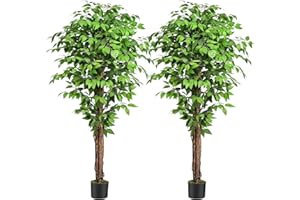 Keeplush 6.2ft. Ficus Artificial Trees with 3 Natural Curved Trunks, 74" Tall Lush Faux Tree for Home Decor Indoor, Green Lifelike Fake Ficus Tree Plants (Set of 2)