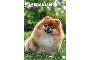 GENERISCH Pomeranian Kalender 2026 - Ein Jahr voller Fluff und Spaß