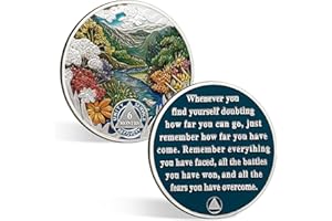 CHURYUML 6 Month Sobriety Coin 180 Day Sobriety Chip Six Month AA Coins Recovery Medallions Sobriety Gifts for Men Women Alcoholics Anonymous Gift with Capsule, Display & Card