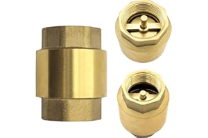 HJFH Rückschlagventil Rückschlagklappe Messing 1 Zoll Rückflussverhinderer Rücklaufventil für Heizung Wasser, Pumpe, Brunnen, Waschmaschine, Garten, Regentonne, Fass