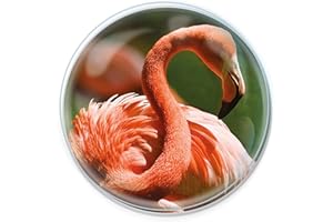 Magnidome - Flamant Rose de Deluxebase. Aimant Famant Rose pour Frigo en Verre de Cristal pour Enfants. Magnifiques dômes magnétiques pour la décoration de la Maison