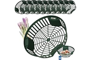 KOTARBAU Lot de 10 pots de fleurs de 265 mm - Accessoire de jardin extérieur pour planter des bulbes