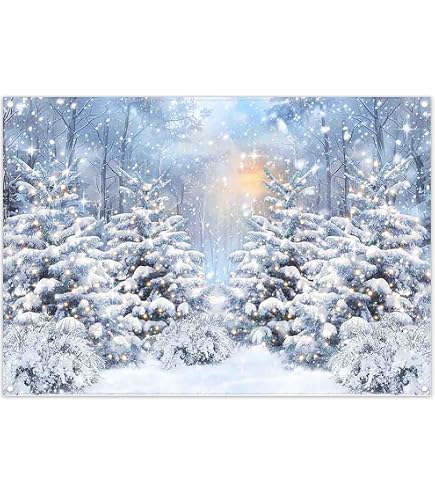 Renaiss Toile De Fond 3x1.5m Nuit Étoilée Ciel Lune Chute De Neige - Décor Photographie Noël Forêt Hiver