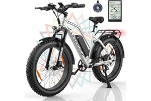 Vipdrive Bici Elettrica Pieghevole, EBike con 20''/24''/26'' x 4'' Fat Tire, Bicicletta Elettrica da Uomo/Donna per Adulti con Batteria da 48V 13AH, Motore da 250W, Fino a 25KM/H, Autonomia 100km