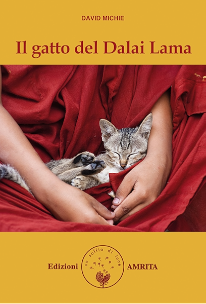 Il Gatto Del Dalai Lama Ebook Michie David Amazon It Kindle Store