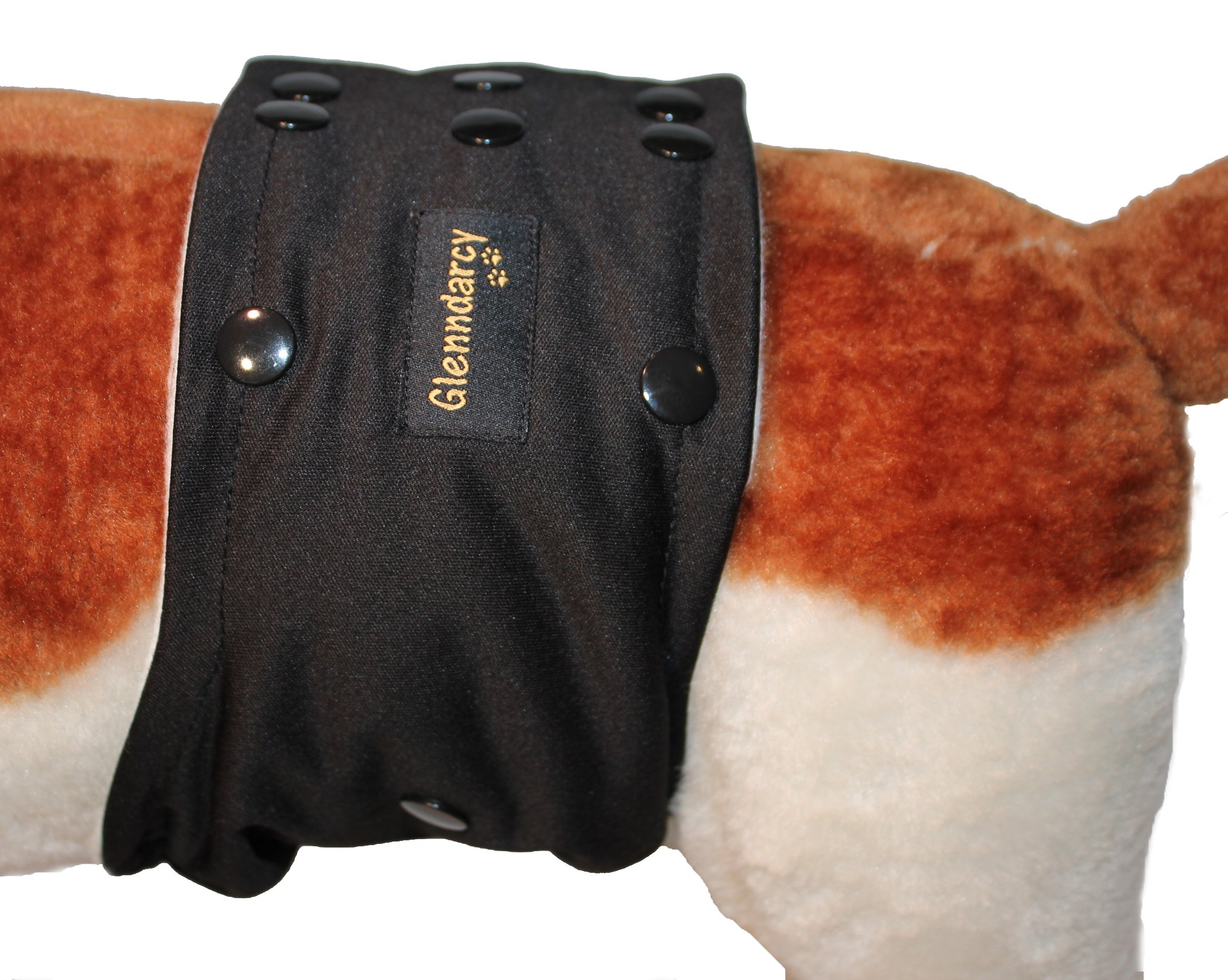 Glenndarcy Male Dog Belly Band I Incontinence I Poppers I Black Medium