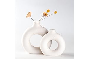 Sawoake Set di 2 vasi in ceramica a ciambella bianca per la decorazione moderna della casa, vasi rotondi erba della pampa, neutro boho nord