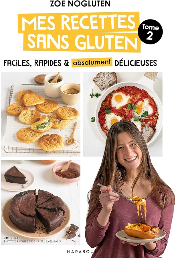 Livre De Cuisine 'Les 315 Meilleures Recettes' - État Correct (ISBN: 2743456493)