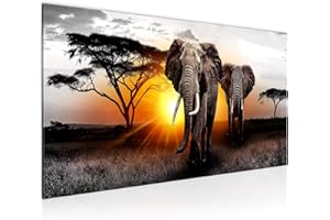 Runa Art Tableau Decoration Murale - Afrique L'Éléphant - 1 Partie - Moderne Toile Non tissée - Salon Salle Panorama - Gris Orange - 007612a