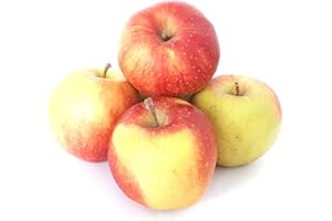 ‎LAMERA Äpfel Jonagold aus Deutschland/Bodensee süß-säuerlicher Apfel Speiseapfel 1-10 KG (2)