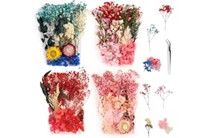 XIAQICA 4 Boxen Getrocknete Blumen, Trockenblumen zum Basteln Trockenblumen Mini Getrocknete Blüten Deko Kleine Trockenblumen mit Pinzette für Kunsthandwerk, DIY Harz-Karten, Kerzenherstellung