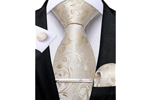 DiBanGu Mens Paisley Tie Formal Silk Tie & Pocket Square Cufflinks Tie Clip for Wedding Party Prom