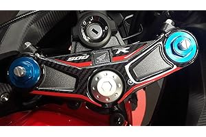 labelbike - PROTEZIONE PIASTRA FORCELLA STERZO per MOTO CBR500R compatibile con HONDA CBR 500 R 2019-2021