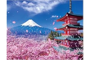 Nicole Knupfer DIY Diamond Painting Set, 5D Kirschblüten, Landschaft Diamant Malerei für Haus, Wand Und Eingang Dekorationen (B,30x40cm)