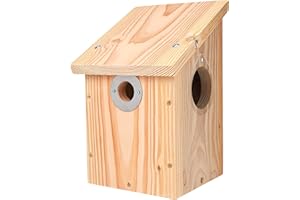 Wildlife World Camera Ready Nest Box CRNB