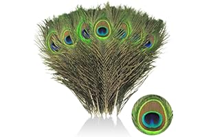 laeeyin Lot de 20 plumes de paon naturelles de 25 à 30 cm - Jolies plumes pour le bricolage, la décoration de boucles d'oreilles, mariage, attrape-rêves, plumes de coiffure, artisanat scolaire
