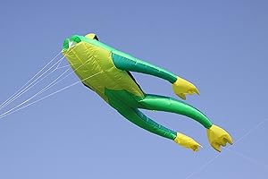 Wolkenstürmer linea singola Aquiloni volanti Fritz The Frog Verde Kite per principianti