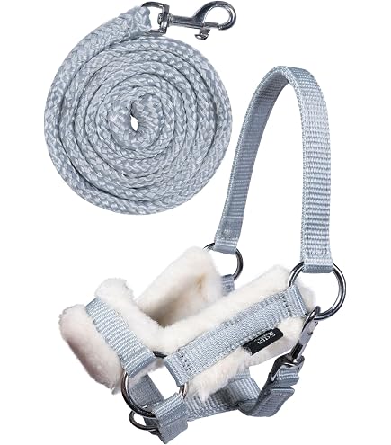 Set Licol Et Longe HKM 100 Mm – Mousqueton, Ferrures Argentées, Pour Poney Shetty