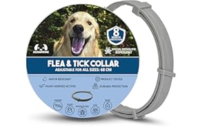 MERAPRIME Collar Antiparasitario Perros Pulgas y Garrapatas | Especial Mosquitos | Antipulgas y Garrapatas Perros Grandes y Pequeños | Alternativa a Seresto Collar Perro, 72cm Ajustable, 8 Meses, Vegetal