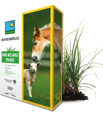 Mélange De Graines Horse Elite Pour Pâturage – 5 Kg Pour 500 M² – Spécial Chevaux Et Petit Bétail – Couverture Rapide, Entretien Facile - 11