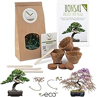 Bonsai Starter Kit Anzuchtset inkl. GRATIS eBook - Pflanzset aus Kokostöpfen, Samen & Erde - nachhaltige Geschenkidee…