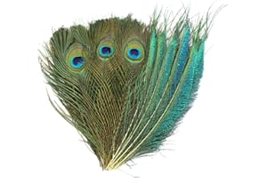 MWOOT 30 Pezzi Piume di Pavone Decorative, Piume Naturali Verdi, Piume DIY Carnevale Partito Costume da Mascherata Accessori per Capelli Vintage Decorazione, 25-30CM Piume Decorative Lunghe