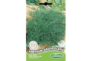 Germisem Anethum Graveolens Semi di Aneto 4 g