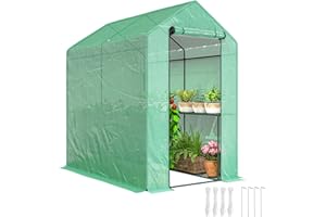 Outsunny Walk-in Greenhouse with 2 Tier 4 Shelves, Small Greenhouse with Reinforced PE Cover, Garden Plant Growhouse with Roll-up Door, 120 x 186 x 190 cm, Green