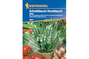 Kiepenkerl Profi-Line Schnittknoblauchsamen Neko 3280 - Mehrjährig, winterhart, Kräutersamen für Garten und Anzucht, vitaminreich, mild-aromatisch, Schnittlauchpflanze