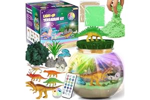 Cadeaux Dinosaures pour garçons - Kit de Terrarium Dinosaure pour Enfants - Cadeau d'anniversaire pour garçons âgés de 4 5 6 7 8-12 Ans - Jouets Dinosaures pour garçons - d'artisanat pour Enfants