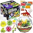 Original Stationery Grow Your Own Crystal Dinosaur Terrarium Kit, All in One Crystal Growing Kit with 2 Dinosaur Toys for Boys and Seeds to Grow 3 Crystals for Kids, Fun Experiment and Dinosaur Gifts
