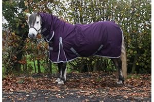 AUTUMNN EQUESTRIAN Horse Rug No Fill Turnout Horse Rugs Horse Turnout Rug No Fill 600d Lightweight Turnout Rug For Horses 0g Rain Sheet Turnout Rug With Neck Premium Horse Blanket (5'9'', PLUM)