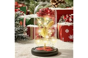 ‎BSTALPINE Ewige Rose im Glas – Geschenke für Frauen, Frauen, Rosen mit LED Lichtern, Weihnachtsgeschenke, Muttertagsgeschenke, Mama, Freundin, Oma & Frau