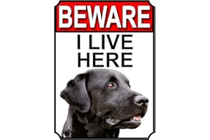 SHAWPRINT LIMITED BEWARE I LIVE HERE METAL GATE SIGN BLACK LABRADOR 200MM X 10MM (1043H1)