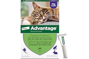 Advantage Chat & Lapin de plus de 4 kg – Pipettes anti puces chat pour prévention des infestations – Traitement anti puces avec protection de 3 à 4 semaines – 6 x 0,8 ml