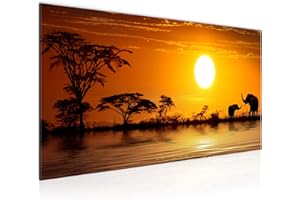 Runa Art 000512a Wall Picture Africa Elephant 1 Piece 100 x 40 cm Modern Picture on Non-Woven Canvas Panorama Savannah Living Room Bedroom Orange
