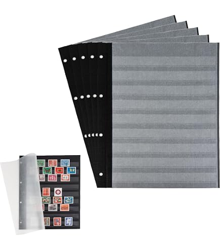 Lindner Hojas Multi Collect Transparentes – 10 Hojas De PVC Sin ácidos Para Monedas Y Coleccionables, Aptas Para Ver Ambas Caras