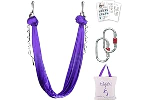F.Life Aerial Silk Yoga Hammock & Swing for yoga Inversion,Strength training,starter hardware kit