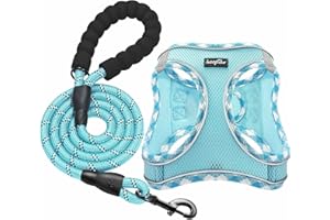 haapaw Hundegeschirr und Leine Set, kein Ziehen, verstellbares, reflektierendes Step-in-Welpengeschirr mit Dicker, gepolsterter Weste für extra kleine/kleine mittelgroße Hunde